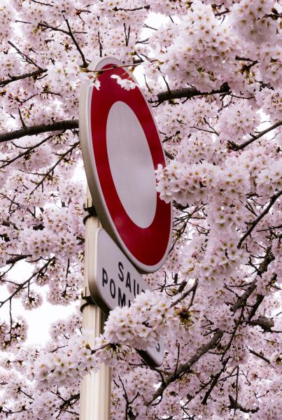 2024 - Mulhouse, France